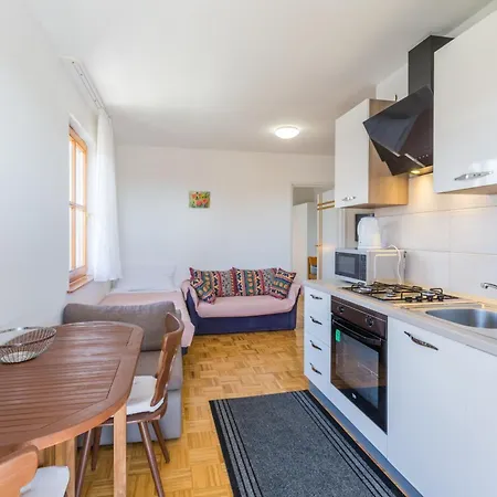 Διαμέρισμα Family-friendly With Swimming Pool Novigrad - 11242 *