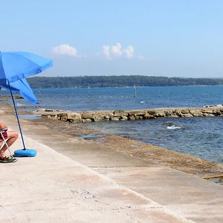 Διαμέρισμα Family-friendly With Swimming Pool Novigrad - 11242