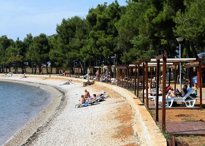 Apartman Family-friendly With Swimming Pool Novigrad - 11242 *