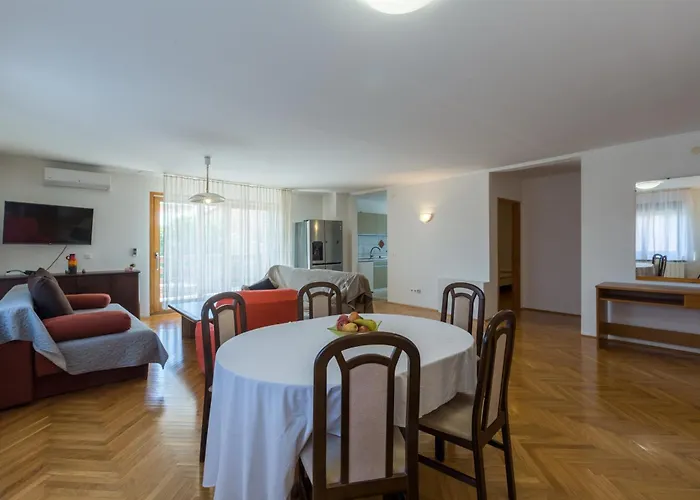 Apartman Family-friendly With Swimming Pool Novigrad - 11242