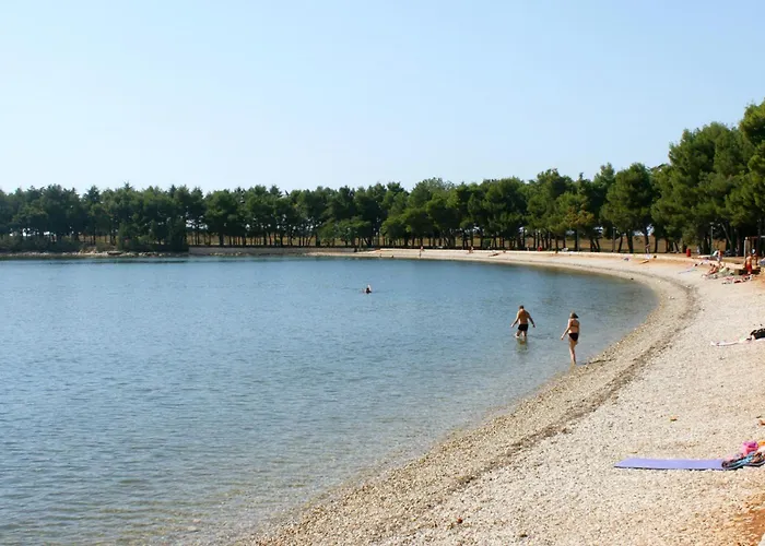 Family-friendly With Swimming Pool Novigrad - 11242