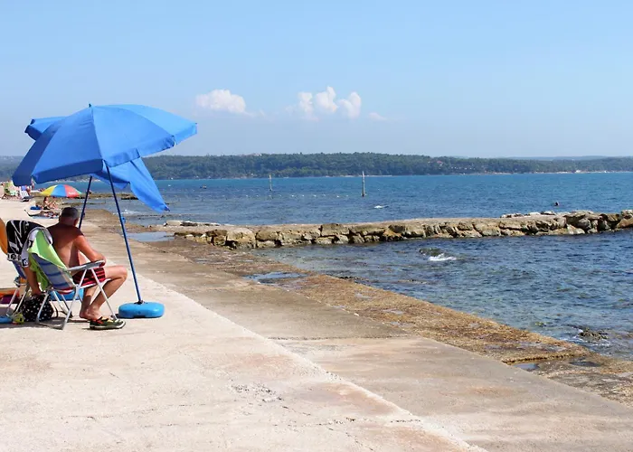 Apartman Family-friendly With Swimming Pool Novigrad - 11242